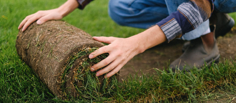 Revamp, Revive, and Re-turf Your Lawn: A Step by Step Guide